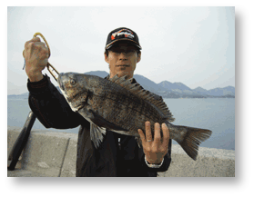 伯方島チヌ53cm