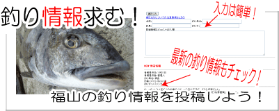 釣り情報募集中