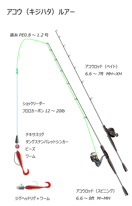 アコウルアー