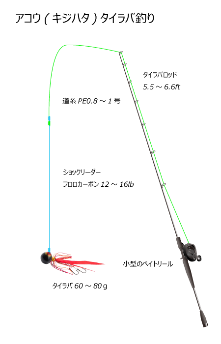 アコウタイラバ釣り