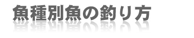魚種別魚の釣り方