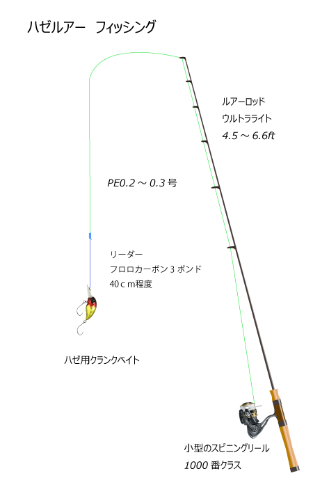 ハゼクラ