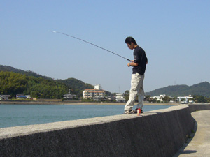 イイダコ陸からの釣り 釣りの総合情報サイト Fishing Information フィッシング インフォメーション