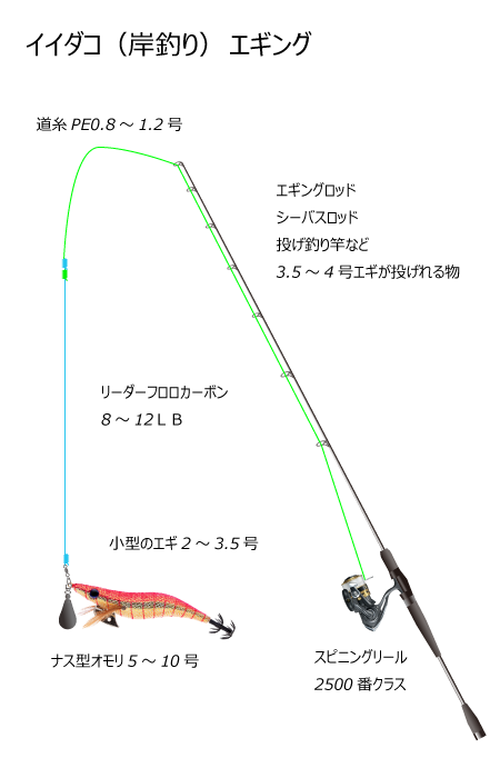 イイダコ岸釣りエギキャスティング