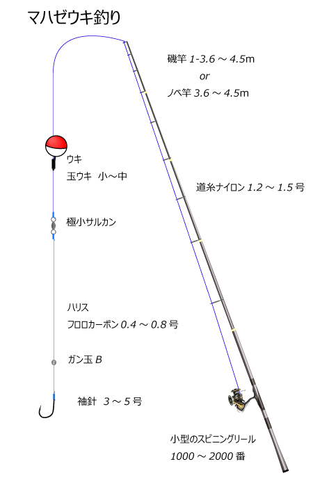 マハゼウキ釣り