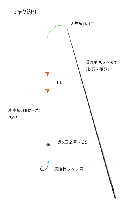 ミャク釣り仕掛け図