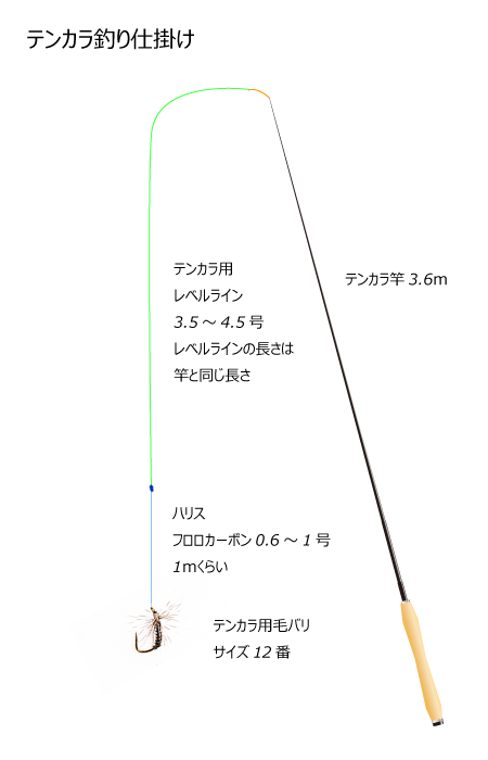 アマゴテンカラ釣り仕掛け図