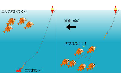 メバルのウキ釣り Fishing Infomation