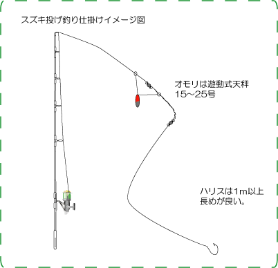 スズキの投げ釣り Fishing Infomation