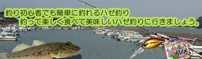 釣って楽しい・食べて美味しい・超簡単ハゼ釣りに挑戦！