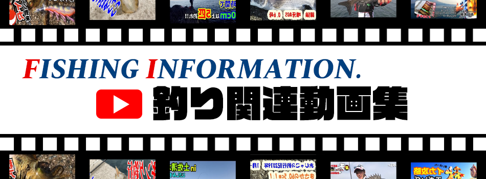 Fi釣り動画チャンネル Fi釣り動画チャンネル