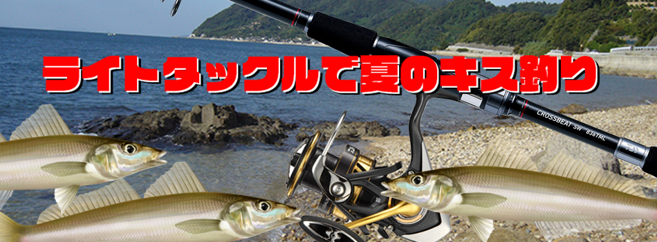 ライトタックルを使った夏のキス釣り / 釣りの総合情報サイト Fishing