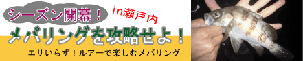 瀬戸内海のメバリングを攻略!