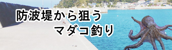 波止場から狙うタコ釣り