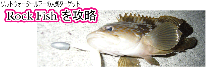 ロックフィッシュを攻略